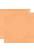 Color Vibe - Apricot