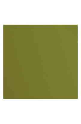 Florence 12x12" Texture -  Olive