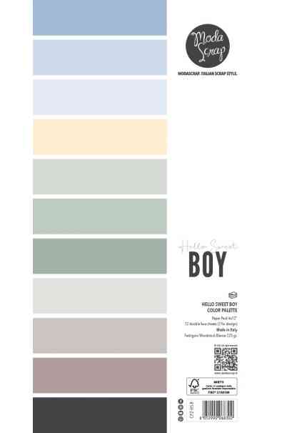 Hello Sweet Boy - Color Palette 6x12"