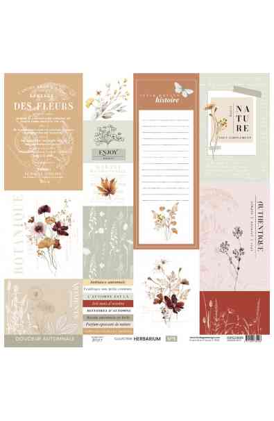 Herbarium - Papier HERBARIUM 5