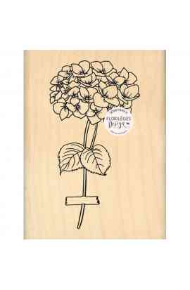 Herbarium - Timbro in legno HORTENSIA