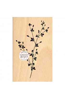 Herbarium - Timbro in legno BRANCHE FRAGILE