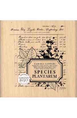 Herbarium - Timbro in legno COMPOSITION