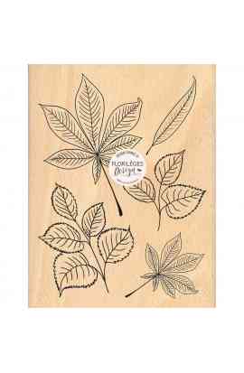 Herbarium - Timbro in legno CINQ FEUILLES