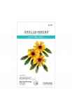 Fustella Black Eyed Susan
