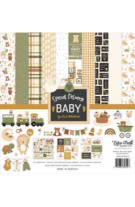 Special Delivery Baby - Collection Kit 12x12"