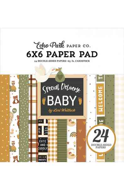Special Delivery Baby - Pad 6x6"