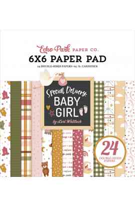 Special Delivery Baby Girl - Pad 6x6"
