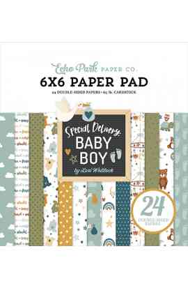 Special Delivery Baby Boy - Pad 6x6"