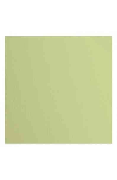 Florence 12x12" Texture -  Anise