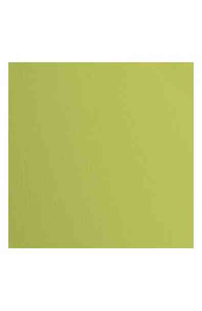 Florence 12x12" Texture -  Pistachio