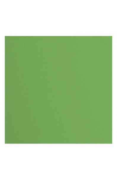 Florence 12x12" Texture -  Moss