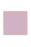 Little M - Kit 12 carte 12x12" Basico