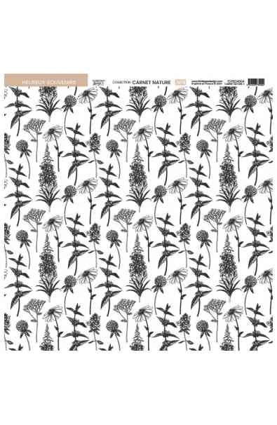 Carnet Nature - Papier 4