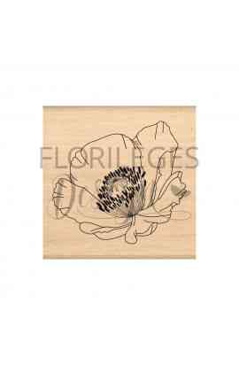 Timbro in legno - COQUELICOT FRAGILE