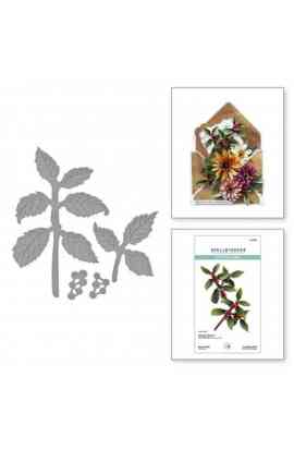 Fustella - Black Alder