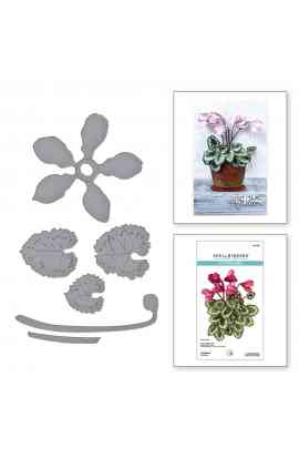 Fustella - Cyclamen