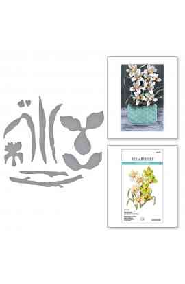 Fustella - Cymbidium Orchid and Ladybugs