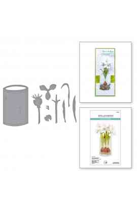 Fustella -Paperwhites and Glass Vase