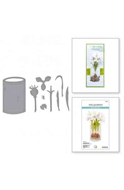 Fustella -Paperwhites and Glass Vase