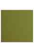 Florence 12x12" Smooth - Olive