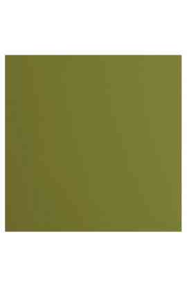 Florence 12x12" Smooth - Olive