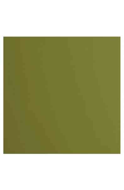 Florence 12x12" Smooth - Olive