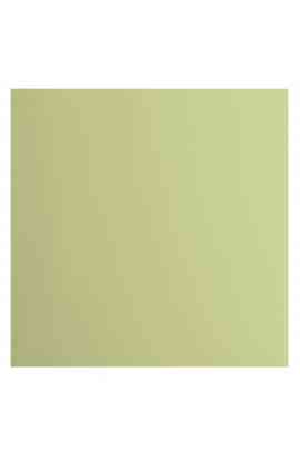 Florence 12x12" Smooth - Anise