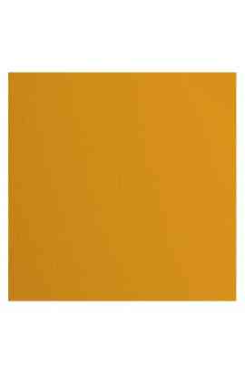 Florence 12x12" Texture - Mango