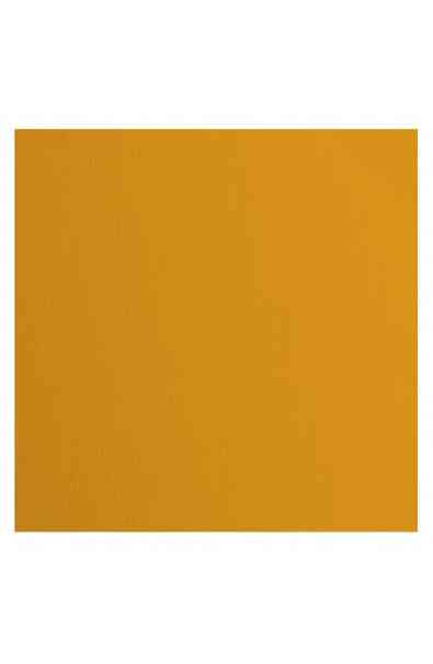 Florence 12x12" Texture - Mango