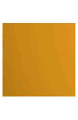 Florence 12x12" Smooth - Mango