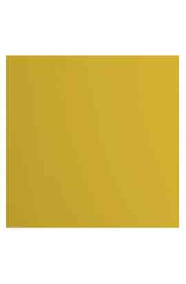 Florence 12x12" Smooth - Bee