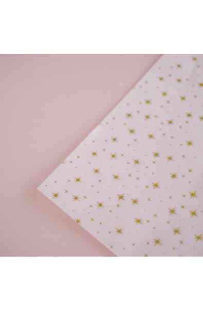 MEMORY LANE - Vellum