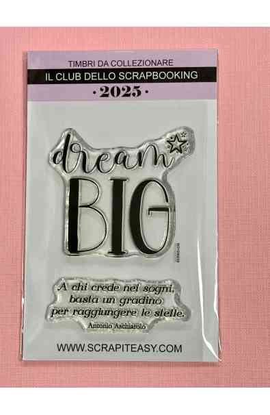 Timbri da collezione 2025 - Gennaio - DREAM BIG