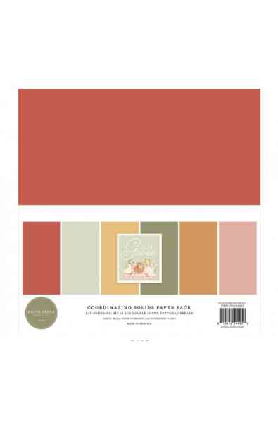 Silly Goose -  Solids Paper 12x12