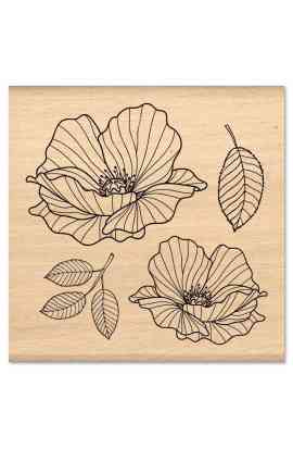 MURMURES - Timbro COQUELICOTS