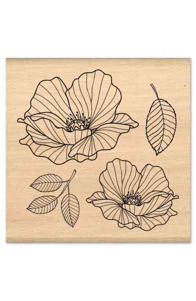 MURMURES - Timbro COQUELICOTS