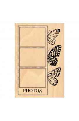 MURMURES - Timbro PHOTOS ET PAPILLONS