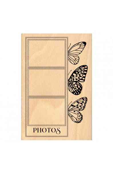 MURMURES - Timbro PHOTOS ET PAPILLONS