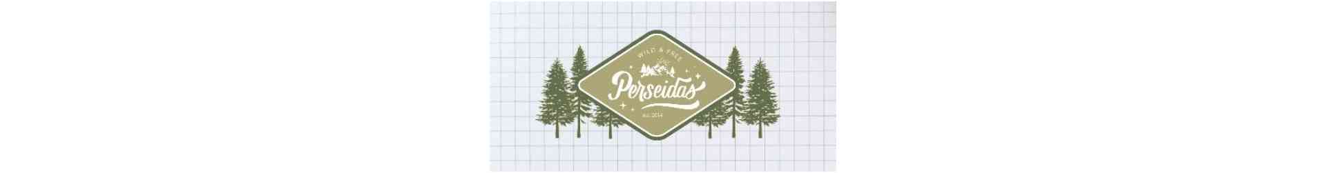 Perseidas